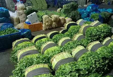 农副产品批发配送服务