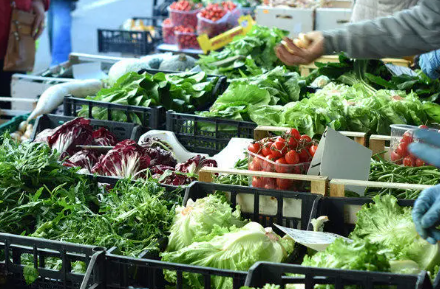 副食粮油 肉禽鱼类 干货冻品 水产海鲜