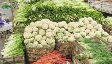 美食鲜食品有限公司农副产品蔬菜配送，每日直达