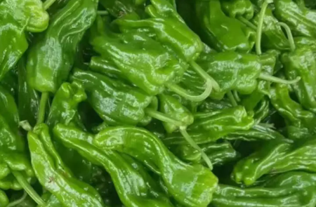 蔬菜水果冷冻品家禽肉类