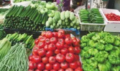 美食鲜食品有限公司农副产品蔬菜配送，每日直达